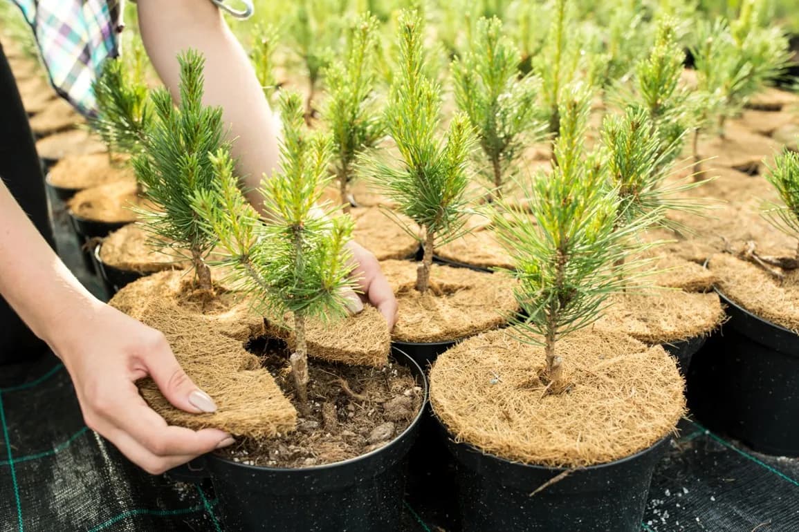 Zahradnické potřeby